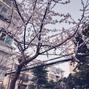 小🐔🐔插女生的🔞🔞🔞
